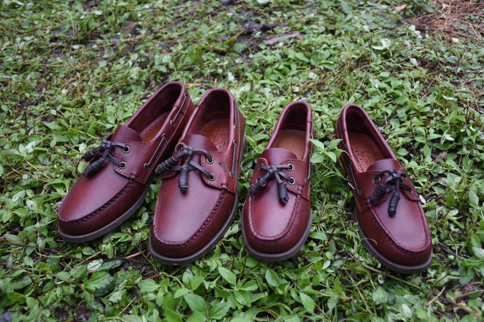 Seacrest boat shoes, burgundy